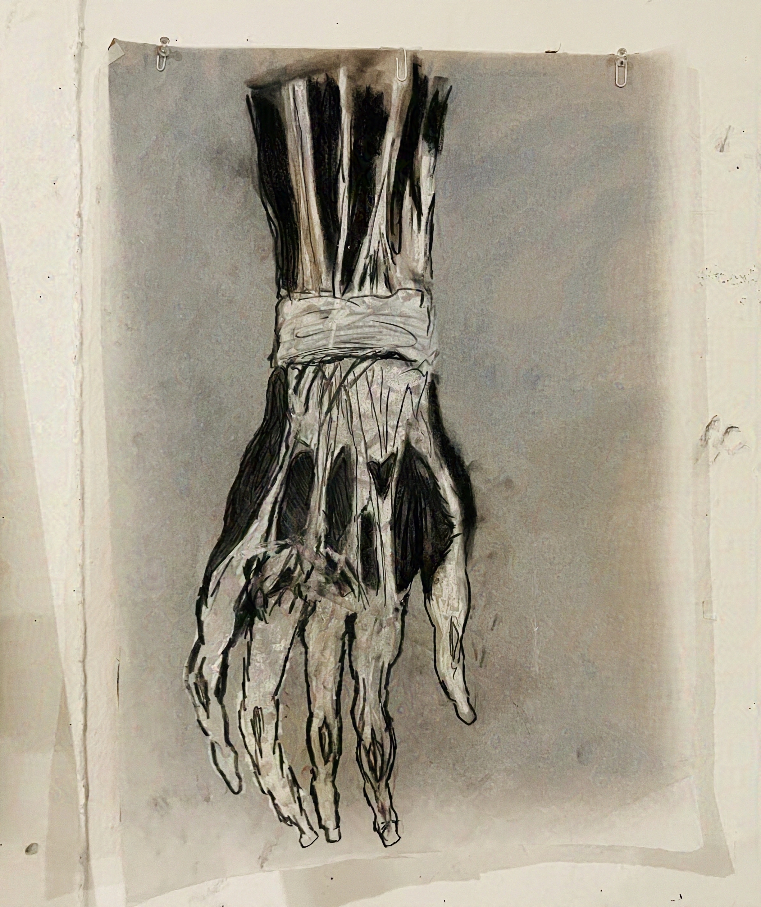 Hand Work Study 1