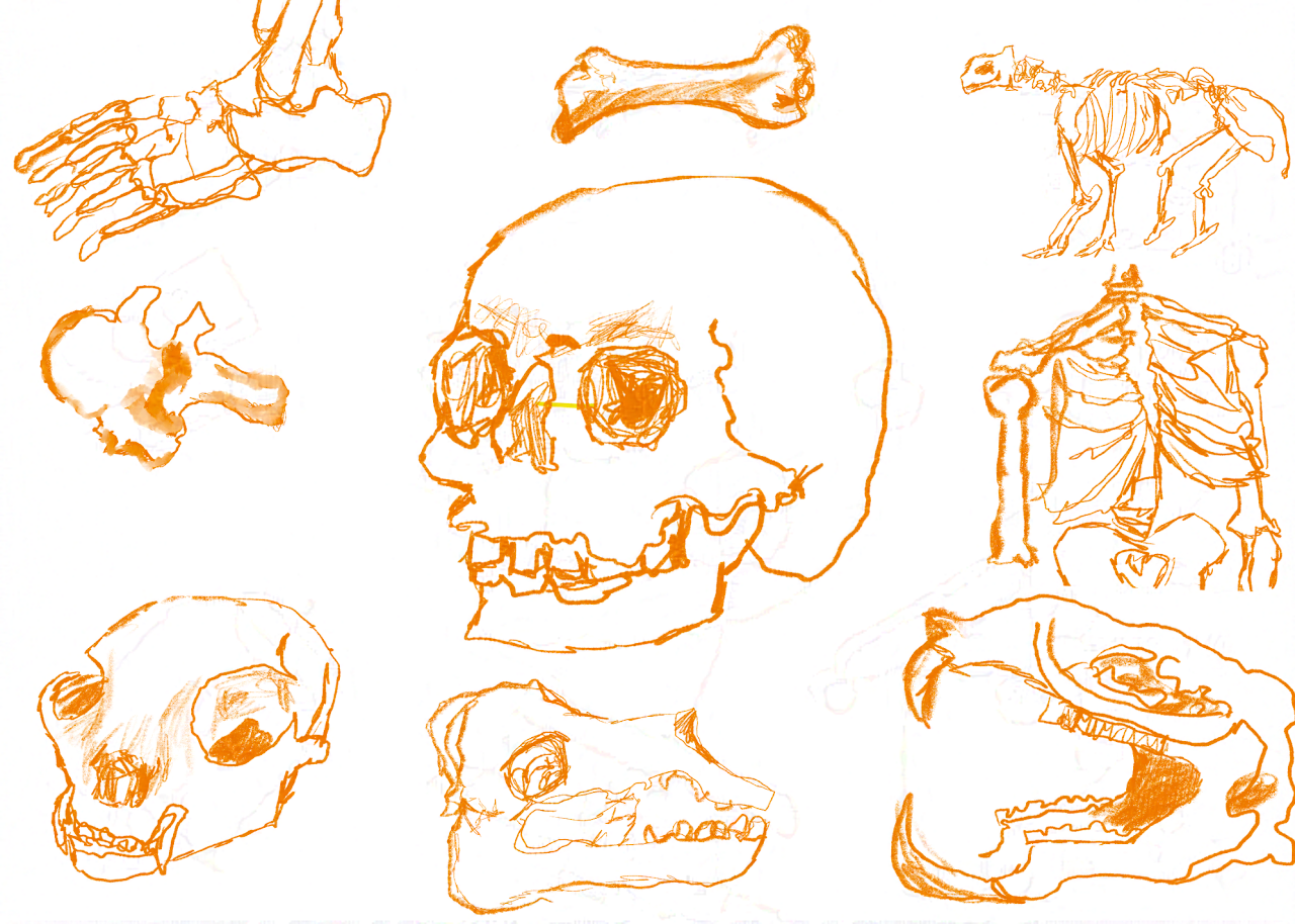 Hand Work Study 5
